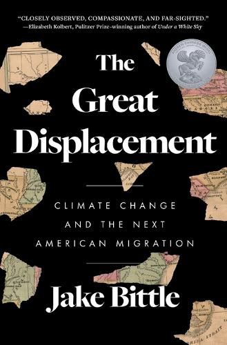 Cover image for The Great Displacement