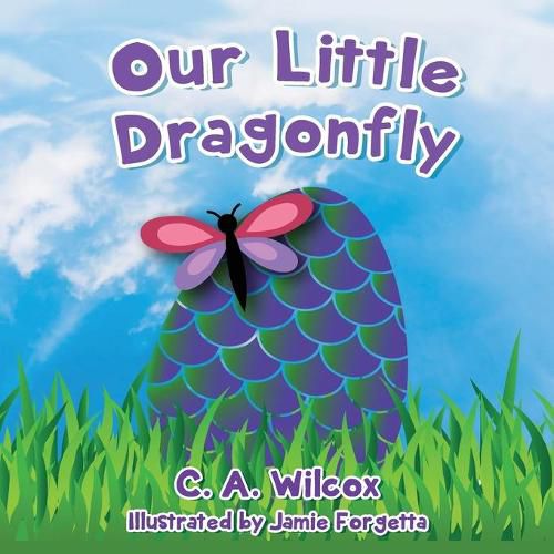 Cover image for Our Little Dragonfly