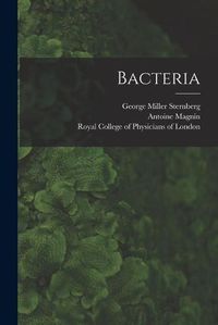 Cover image for Bacteria