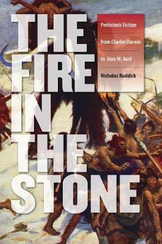 Cover image for Fire in the Stone