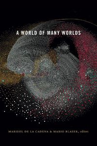 Cover image for A World of Many Worlds