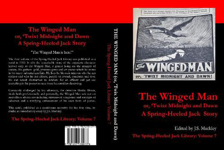 Cover image for The Winged Man or, 'Twix Midnight And Dawn (1913)