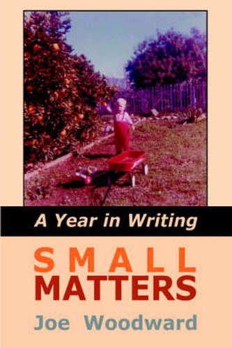 Cover image for Small Matters: A Year in Writing