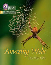 Cover image for Amazing Webs: Phase 5 Set 2