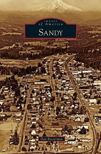 Cover image for Sandy