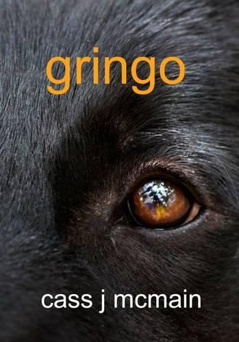 Cover image for Gringo