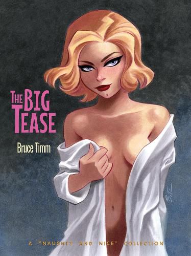 Cover image for The Big Tease: A Naughty and Nice Collection