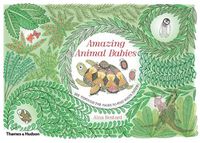 Cover image for Amazing Animal Babies