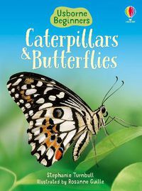 Cover image for Caterpillars and Butterflies