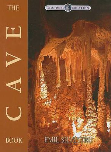 Cover image for The Cave Book