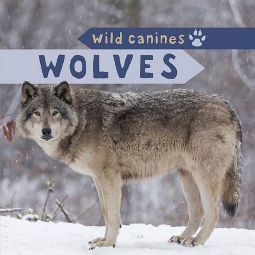 Cover image for Wolves