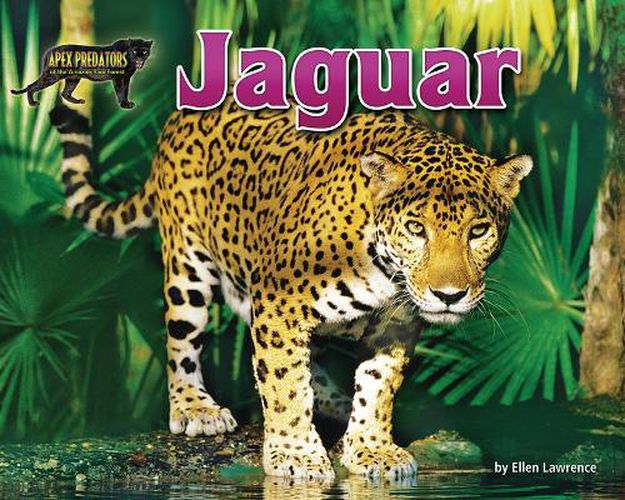 Cover image for Jaguar