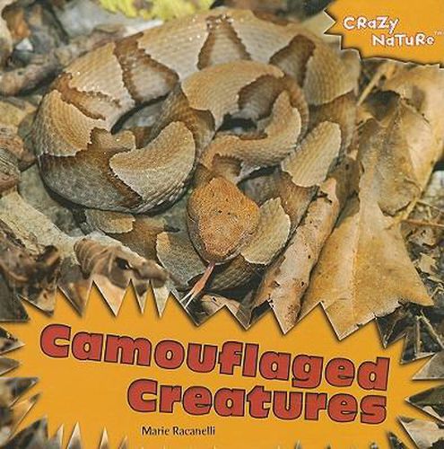 Cover image for Camouflaged Creatures