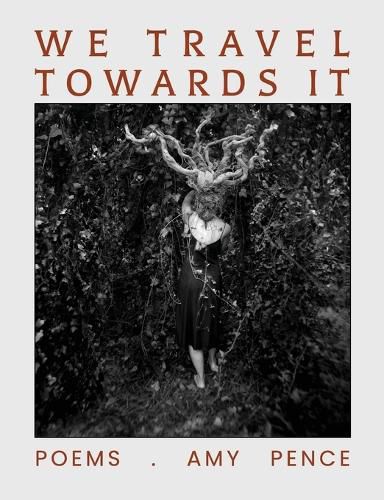 Cover image for We Travel Towards It