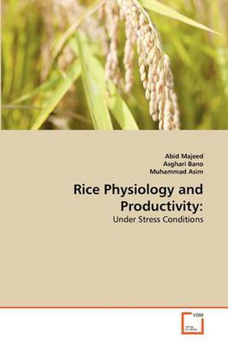 Cover image for Rice Physiology and Productivity