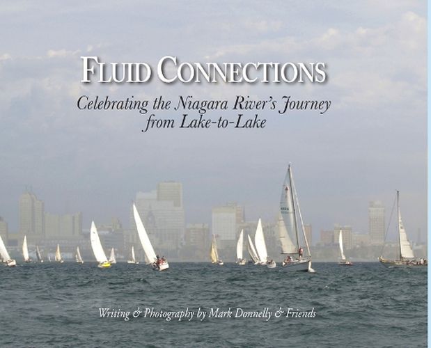 Cover image for Fluid Connections