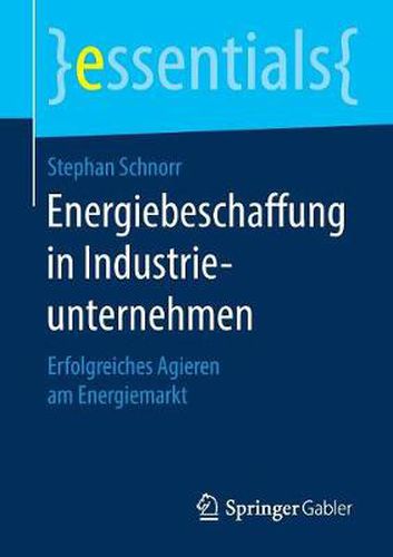 Cover image for Energiebeschaffung in Industrieunternehmen: Erfolgreiches Agieren am Energiemarkt