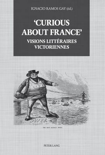 Cover image for Curious About France: Visions Litteraires Victoriennes