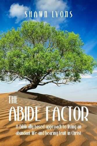 Cover image for The Abide Factor