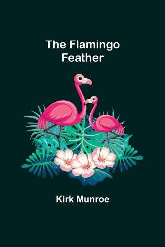 Cover image for The Flamingo Feather