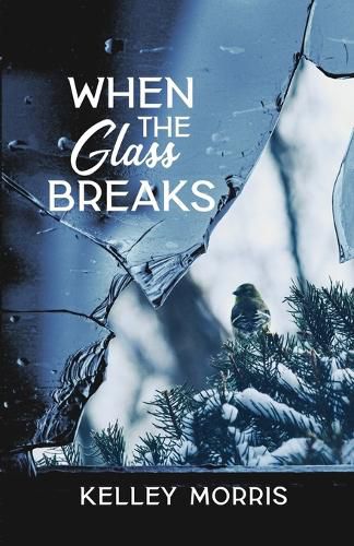 Cover image for When the Glass Breaks