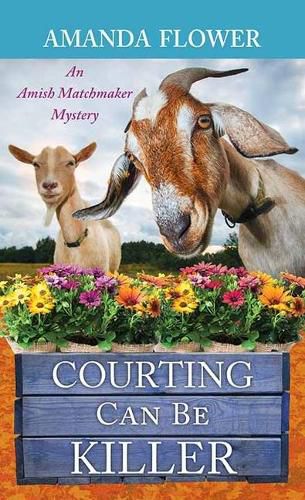 Courting Can Be Killer: An Amish Matchmaker Mystery