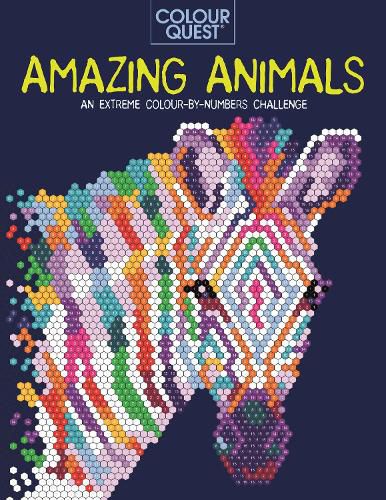 Cover image for Colour Quest (R): Amazing Animals: An Extreme Colour by Numbers Challenge