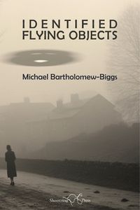 Cover image for Identified Flying Objects