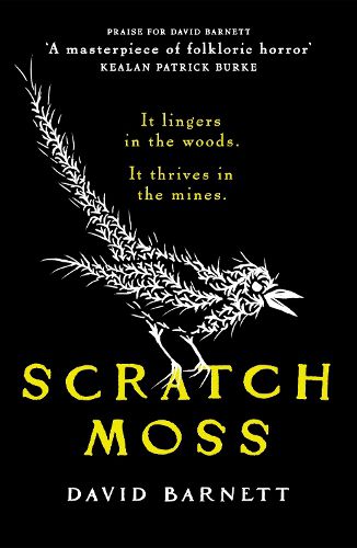 Cover image for Scratch Moss