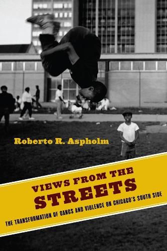 Cover image for Views from the Streets: The Transformation of Gangs and Violence on Chicago's South Side