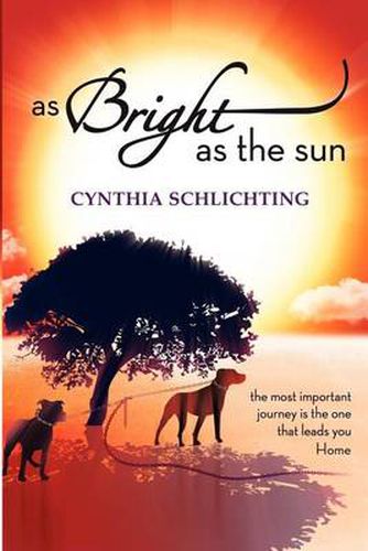 Cover image for As Bright as the Sun