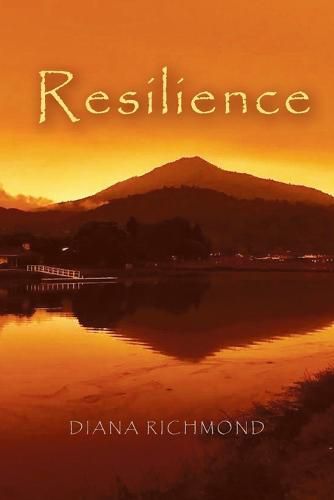 Cover image for Resilience