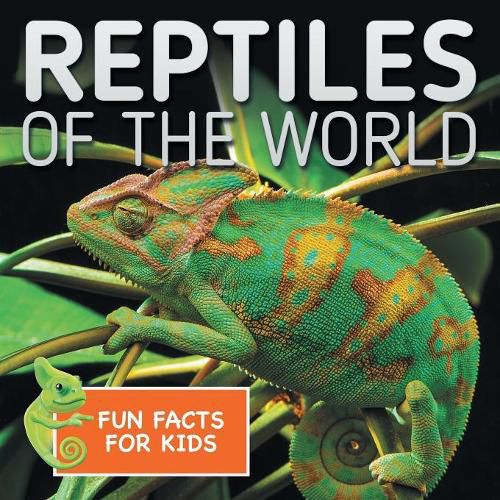 Cover image for Reptiles of the World Fun Facts for Kids