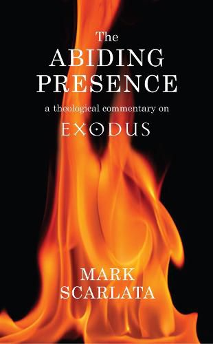 Cover image for The Abiding Presence: A Theological Commentary on Exodus