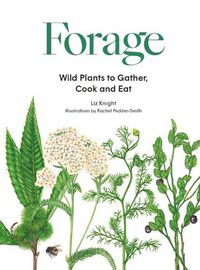 Cover image for Forage: Wild Plants to Gather and Eat