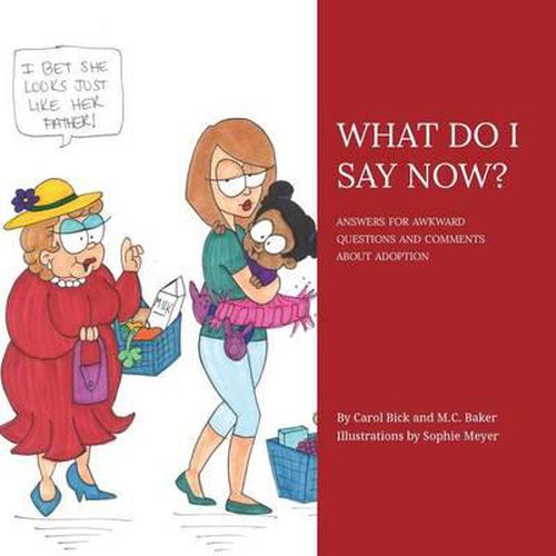 Cover image for What Do I Say Now?: Answers for Awkward Questions and Comments about Adoption