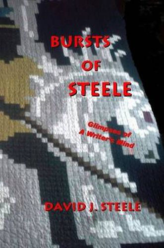 Cover image for Bursts of Steele