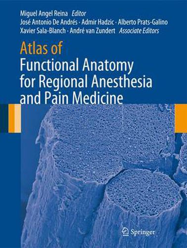 Atlas of Functional Anatomy for Regional Anesthesia and Pain Medicine: Human Structure, Ultrastructure and 3D Reconstruction Images