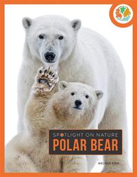 Cover image for Polar Bear