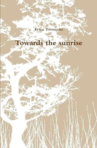 Cover image for Towards the sunrise