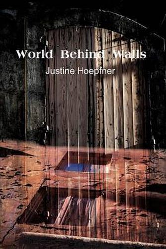 Cover image for World Behind Walls