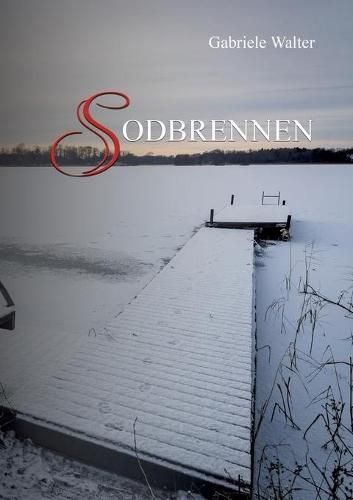 Cover image for Sodbrennen