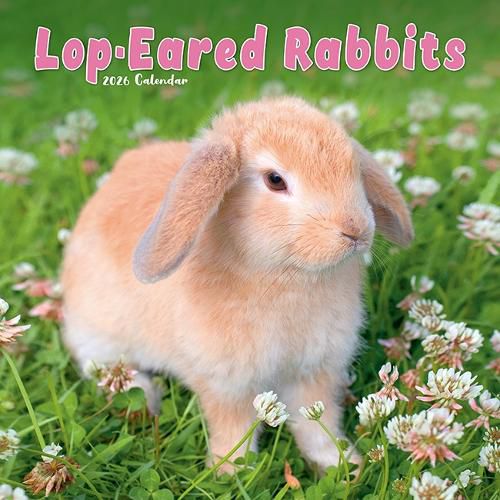 Cover image for Rabbits - Lop Eared Calendar 2026 Square Animal Wall Calendar - 16 Month