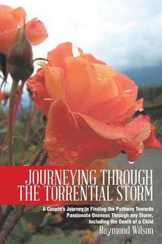 Cover image for Journeying Through the Torrential Storm