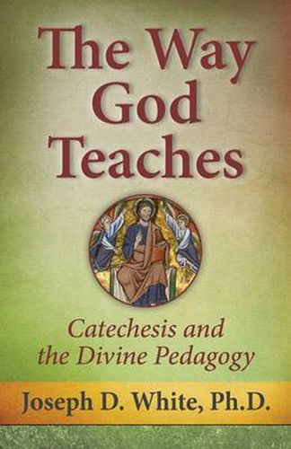 Cover image for The Way God Teaches