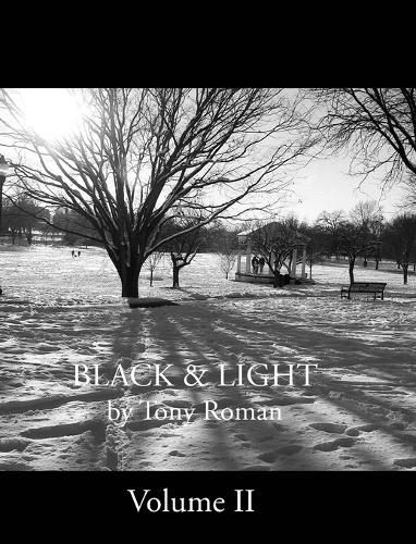 Cover image for BLACK and LIGHT - Volume II (series)