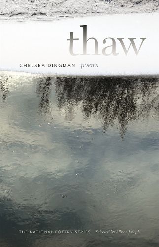 Cover image for Thaw: Poems