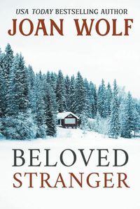 Cover image for Beloved Stranger