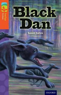 Cover image for Oxford Reading Tree TreeTops Fiction: Level 13 More Pack A: Black Dan