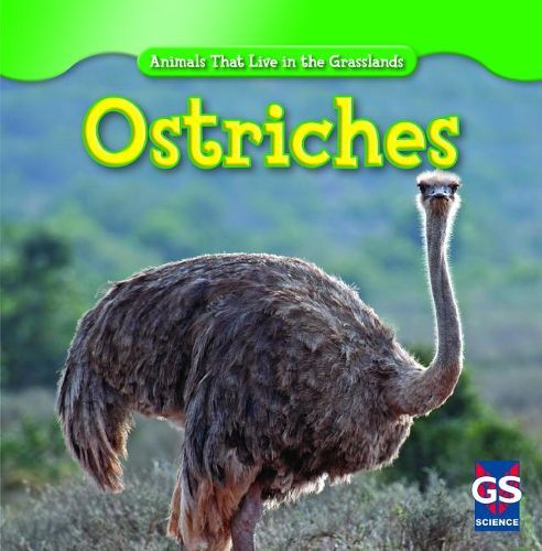 Cover image for Ostriches